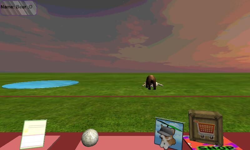 Bear Pet