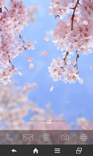 SakuraMoment