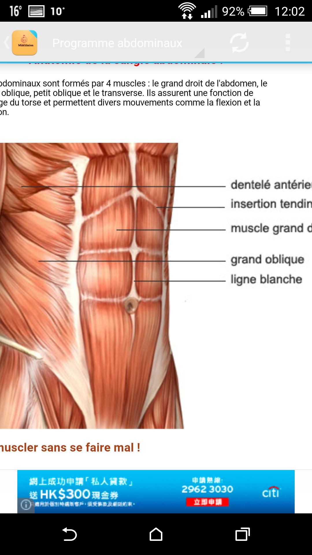Expert Musculation