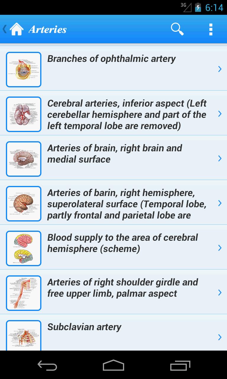 Human Anatomy II Lite