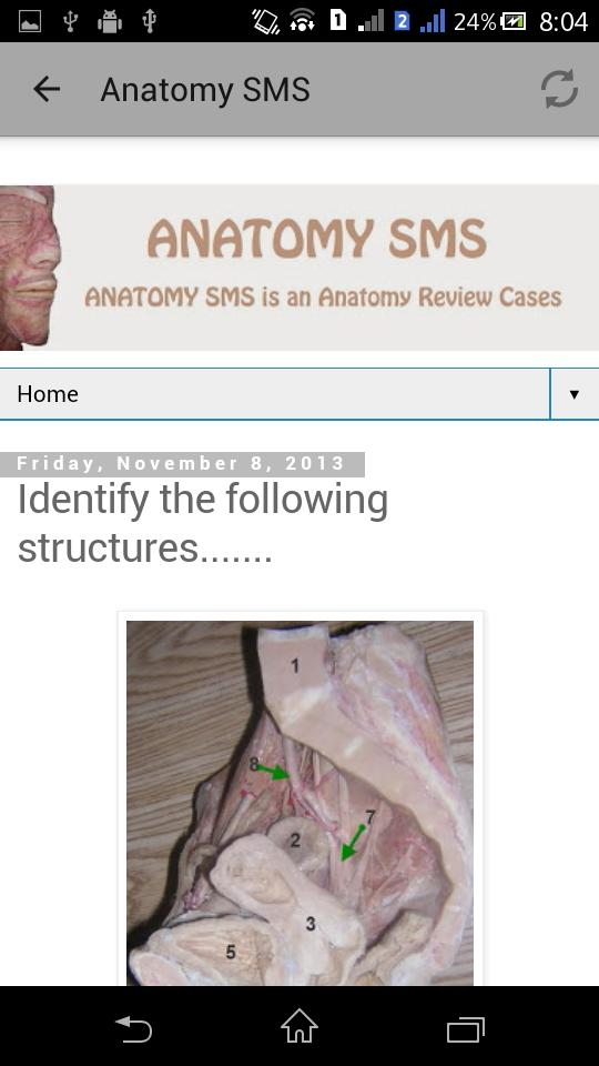 AnatomySMS