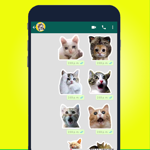 Best Cat Stickers for Chat WAS