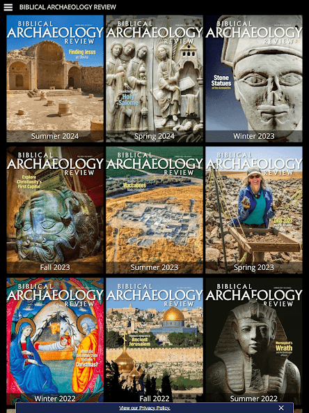 Biblical Archaeology Review