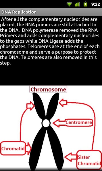 DNA Replication