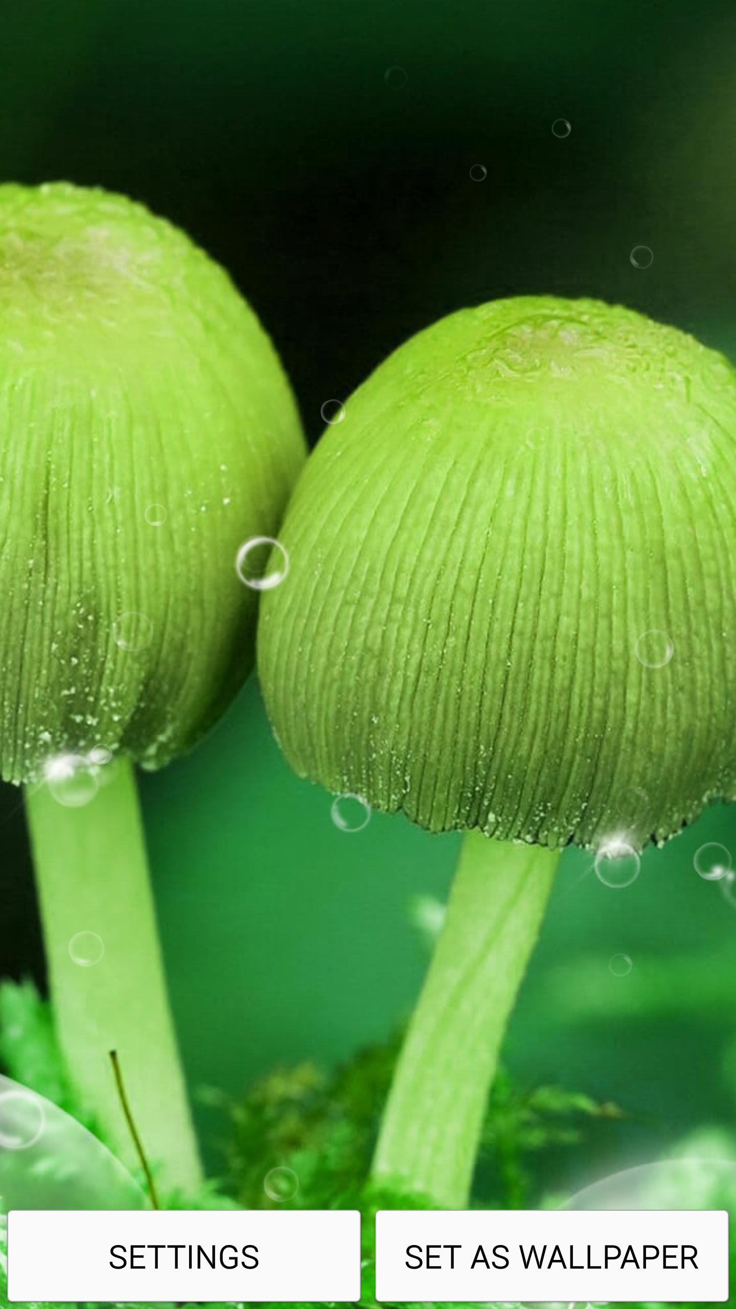 Mushrooms Live Wallpaper