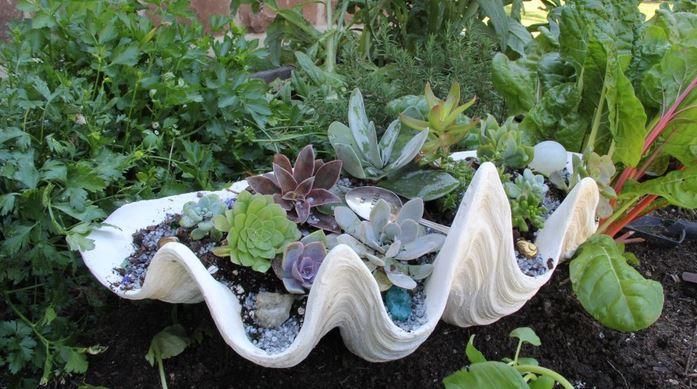DIY gardening