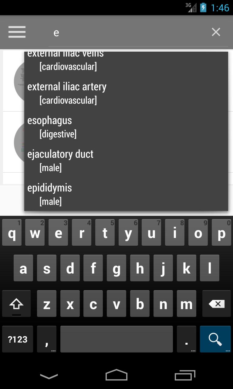Human Anatomy Guide