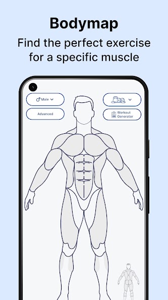 MuscleWiki