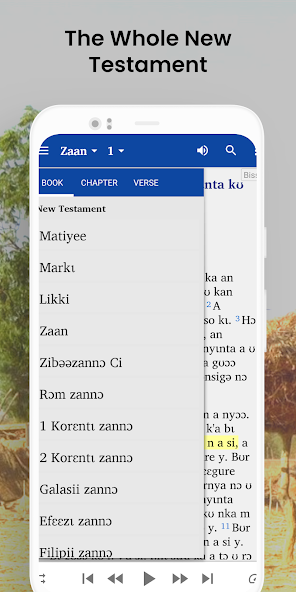 Bible in Bissa - NT with audio