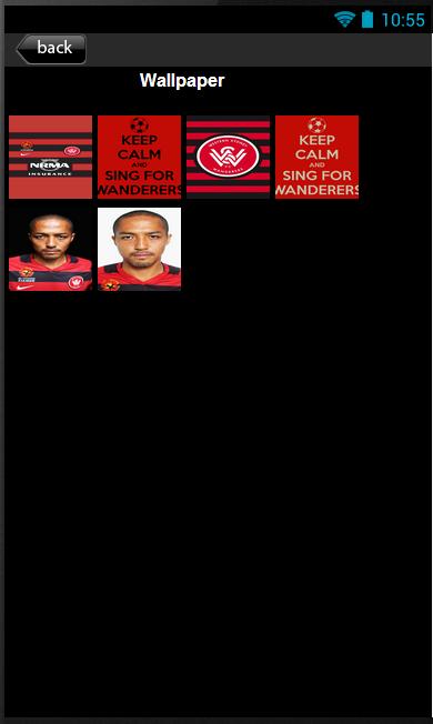 Western Sydney Wanderers Fan