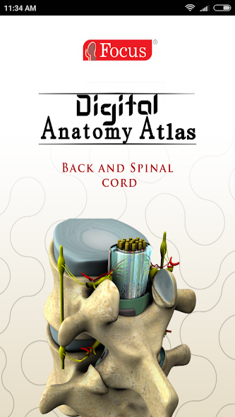 BACK AND SPINAL CORD - ATLAS