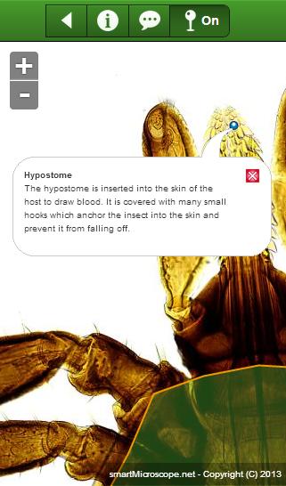 smart Microscope Lite