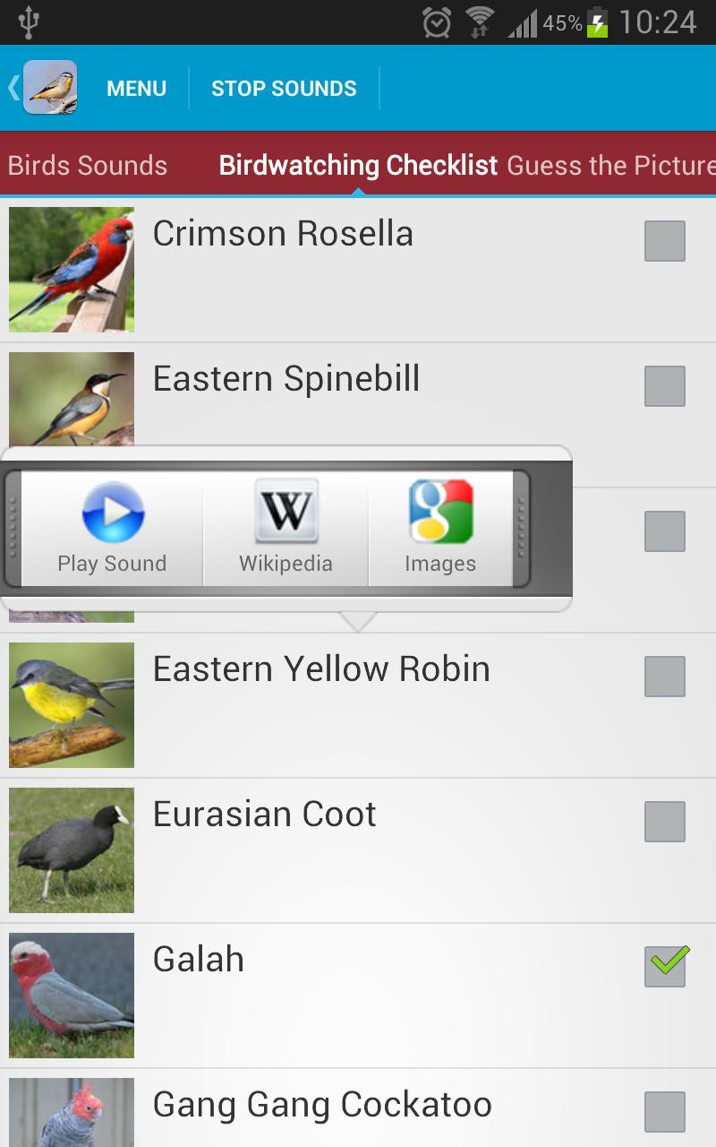 Australian Birds Sounds Free