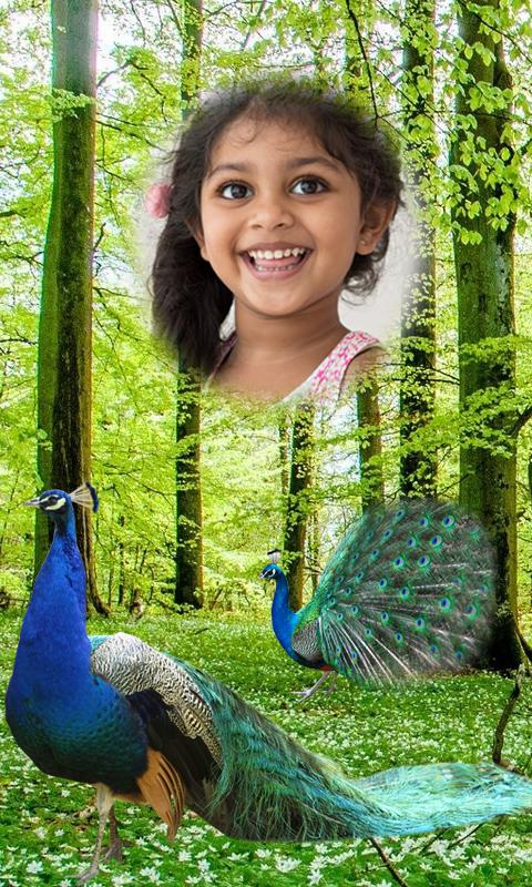Peacock Photo Frames HD