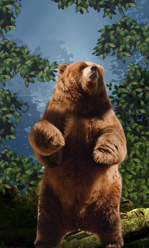 Bear Licks Live Wallpaper