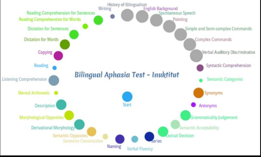Bilingual Aphasia Test
