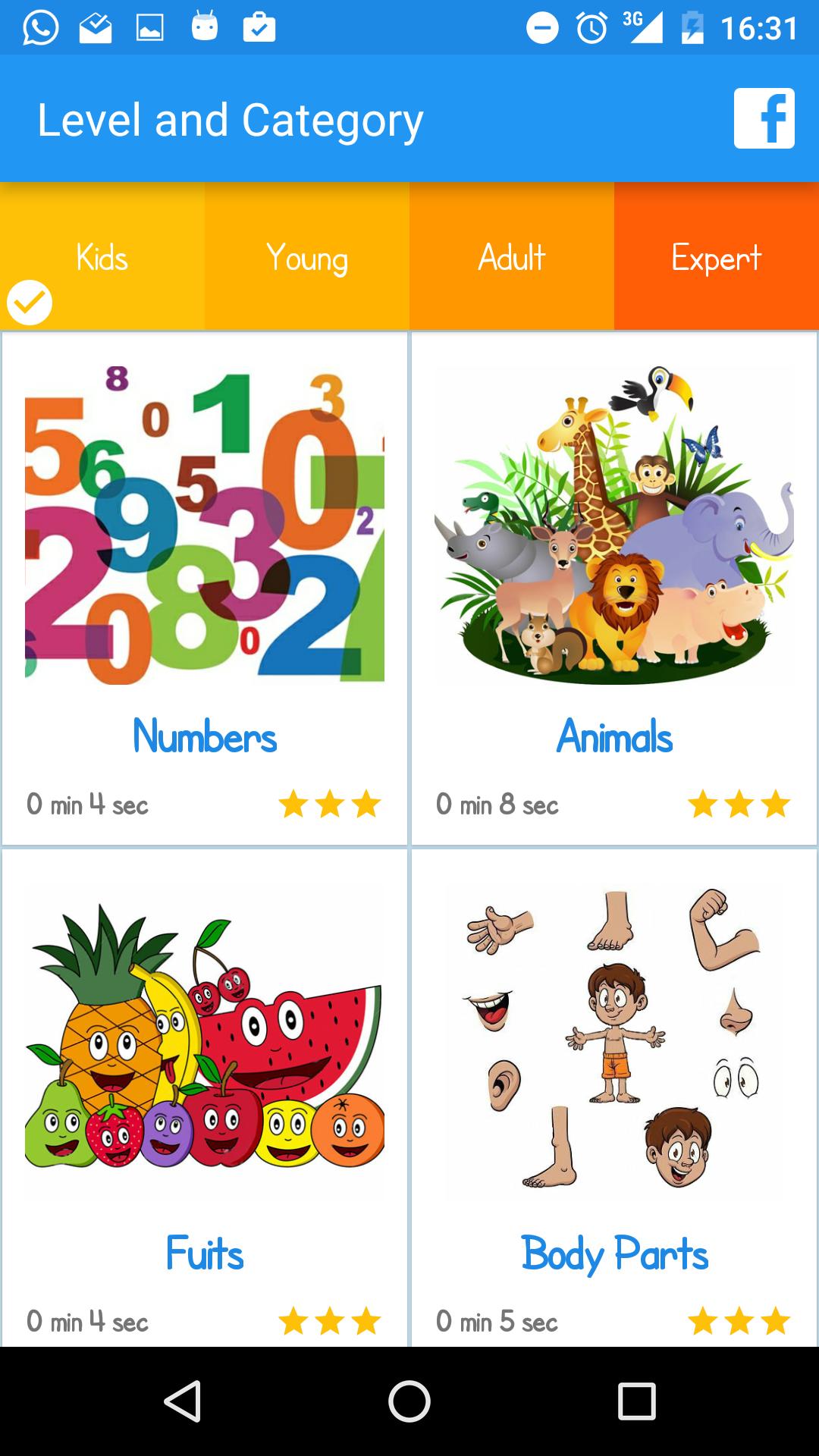 Word Search for Everyone