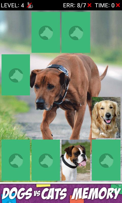 Dogs Vs Cats Action Memory